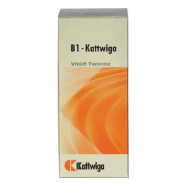 B1 KATTWIGA δισκία, 100 τεμ