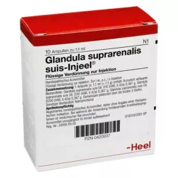 GLANDULA SUPRARENALIS αμπούλες suis Injeel, 10 τεμ