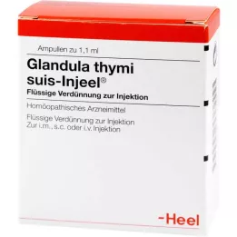 GLANDULA THYMI αμπούλες suis Injeel, 100 τεμ