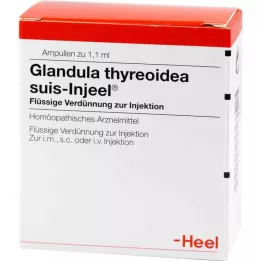 GLANDULA THYREOIDEA αμπούλες suis Injeel, 100 τεμ