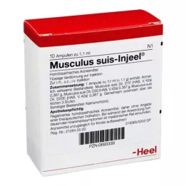 MUSCULUS SUIS Φύσιγγες Injeel, 10 τεμ