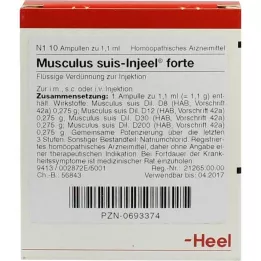 MUSCULUS SUIS Φύσιγγες Injeel forte, 10 τεμ