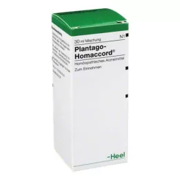 PLANTAGO HOMACCORD Σταγόνες, 30 ml