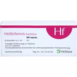 HELLEBORUS FOETIDUS aquos. D 6 αμπούλες, 8Χ1 ml
