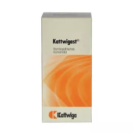 KATTWIGAST Ταμπλέτες, 100 τεμ