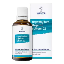 BRYOPHYLLUM ARGENTO cultum D 3 Αραίωση, 50 ml