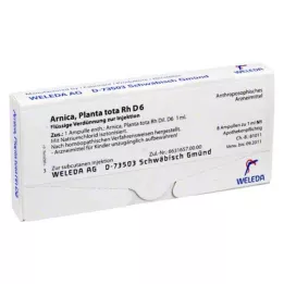 ARNICA PLANTA tota Rh D 6 αμπούλες, 8X1 ml