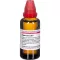HYPERICUM EXTERN Εκχύλισμα, 50 ml
