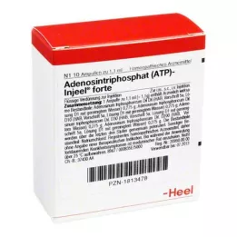 ATP Φύσιγγες Injeel forte, 10 τεμ