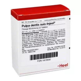 PULPA DENTIS SUIS Φύσιγγες Injeel, 10 τεμ