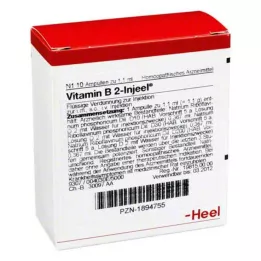 VITAMIN B2 INJEEL Αμπούλες, 10 τεμ