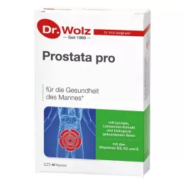 PROSTATA PRO Κάψουλες Dr.Wolz, 2Χ20 τεμ