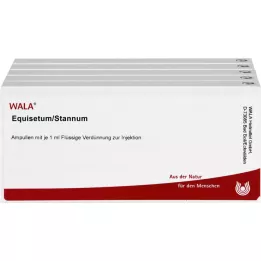 EQUISETUM/STANNUM Αμπούλες, 50Χ1 ml