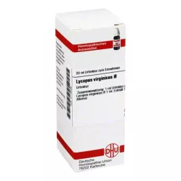 LYCOPUS VIRGINICUS Μητρικό βάμμα, 20 ml