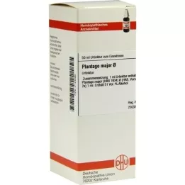 PLANTAGO MAJOR Μητρικό βάμμα, 50 ml