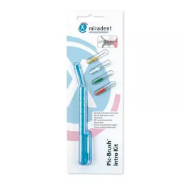 MIRADENT Interd.Pic-Brush Intro Kit 1H+4B.blue, 1 pc