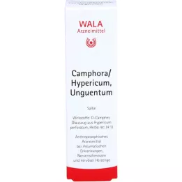 CAMPHORA/HYPERICUM Unguentum, 30 γρ