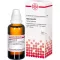 HYPERICUM D 2 Αραίωση, 50 ml
