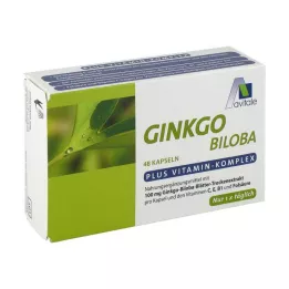 GINKGO Κάψουλες 100 mg+B1+C+E, 48 τεμ