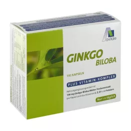 GINKGO Κάψουλες 100 mg+B1+C+E, 192 τεμ