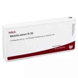 MEDULLA OSSIUM GL D 5 αμπούλες, 10X1 ml