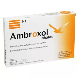 AMBROXOL Εισπνεόμενο διάλυμα για νεφελοποιητή, 20X2 ml