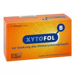 XYTO Κάψουλες Fol B, 90 τεμ