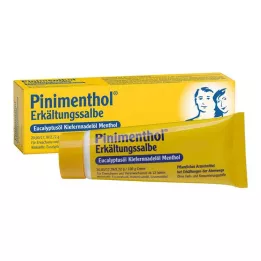 PINIMENTHOL Κρύα αλοιφή Ευκαλ./Πεύκο./Μενθ., 20 γρ