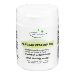 PANGAM Βιταμίνη Β15 Vegi Κάψουλες, 180 τεμ
