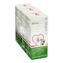 FS 53 Dr.Siegerth H υγρό, 3Χ100 ml