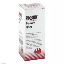 PHÖNIX FERRUM μίγμα σπάτουλας, 100 ml