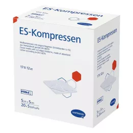 ES-KOMPRESSEN αποστειρωμένο 5x5 cm 12-συσκευασία, 20X5 τεμ
