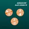 ANGOCIN Anti Infekt N επικαλυμμένα με λεπτό υμένιο δισκία, 500 τεμ