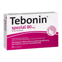 TEBONIN ειδικά επικαλυμμένα με λεπτό υμένιο δισκία 80 mg, 60 τεμ