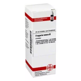 FRAGARIA VESCA Μητρικό βάμμα, 20 ml