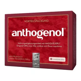 OPC ORIGINAL Masqueliers Anthogenol κάψουλες, 90 τεμ