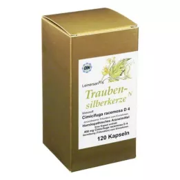 TRAUBENSILBERKERZE Κάψουλες, 120 τεμ