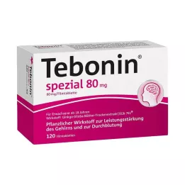 TEBONIN ειδικά επικαλυμμένα με λεπτό υμένιο δισκία 80 mg, 120 τεμ