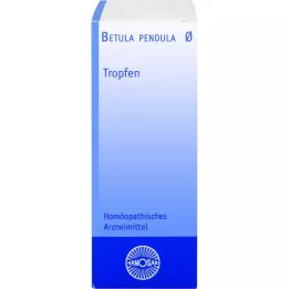 BETULA PENDULA Μητρικό βάμμα Hanosan, 20 ml