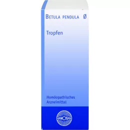 BETULA PENDULA Μητρικό βάμμα Hanosan, 50 ml