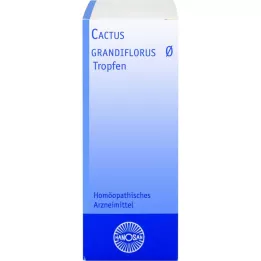 CACTUS GRANDIFLORUS Μητρικό βάμμα Hanosan, 20 ml