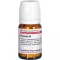 PROPOLIS D 4 δισκία, 80 ώρες
