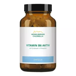 VITAMIN Β6 ΚΑΨΟΥΛΕΣ, 120 τεμ