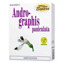 ANDROGRAPHIS κάψουλες paniculata, 60 τεμ