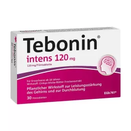 TEBONIN intens επικαλυμμένα με λεπτό υμένιο δισκία 120 mg, 30 τεμ