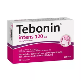 TEBONIN intens επικαλυμμένα με λεπτό υμένιο δισκία 120 mg, 60 τεμ