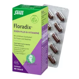 FLORADIX Κάψουλες Iron plus Vitamins B, 40 τμχ