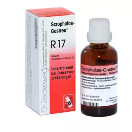 SCROPHULAE-Μίγμα Gastreu R17, 22 ml