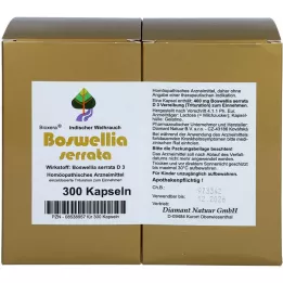 BOSWELLIA SERRATA Κάψουλες Bioxera, 300 τεμ
