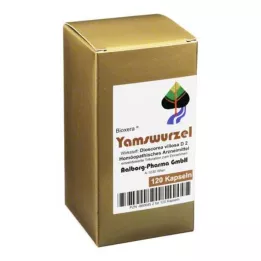 YAMSWURZEL ΚΑΨΟΥΛΕΣ, 120 τεμ